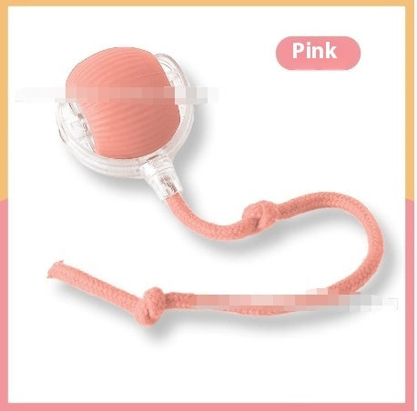 Electric Cat Toy with Bird Sound