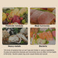 TurboFresh Washer — Clean Produce in Seconds