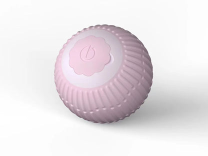 Electric Cat Toy with Bird Sound