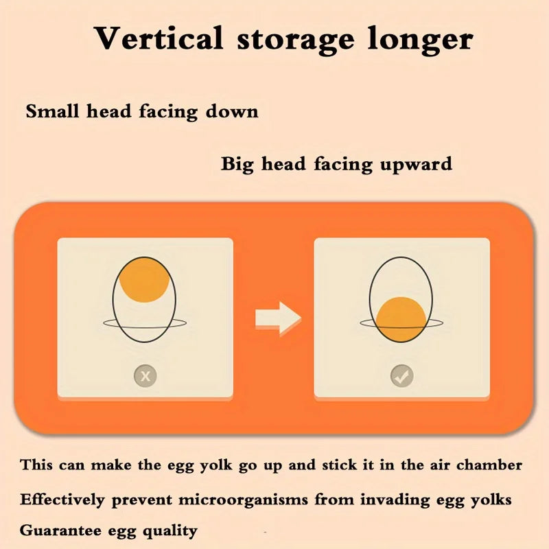 Egg Dispenser Rack
