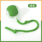 Electric Cat Toy with Bird Sound