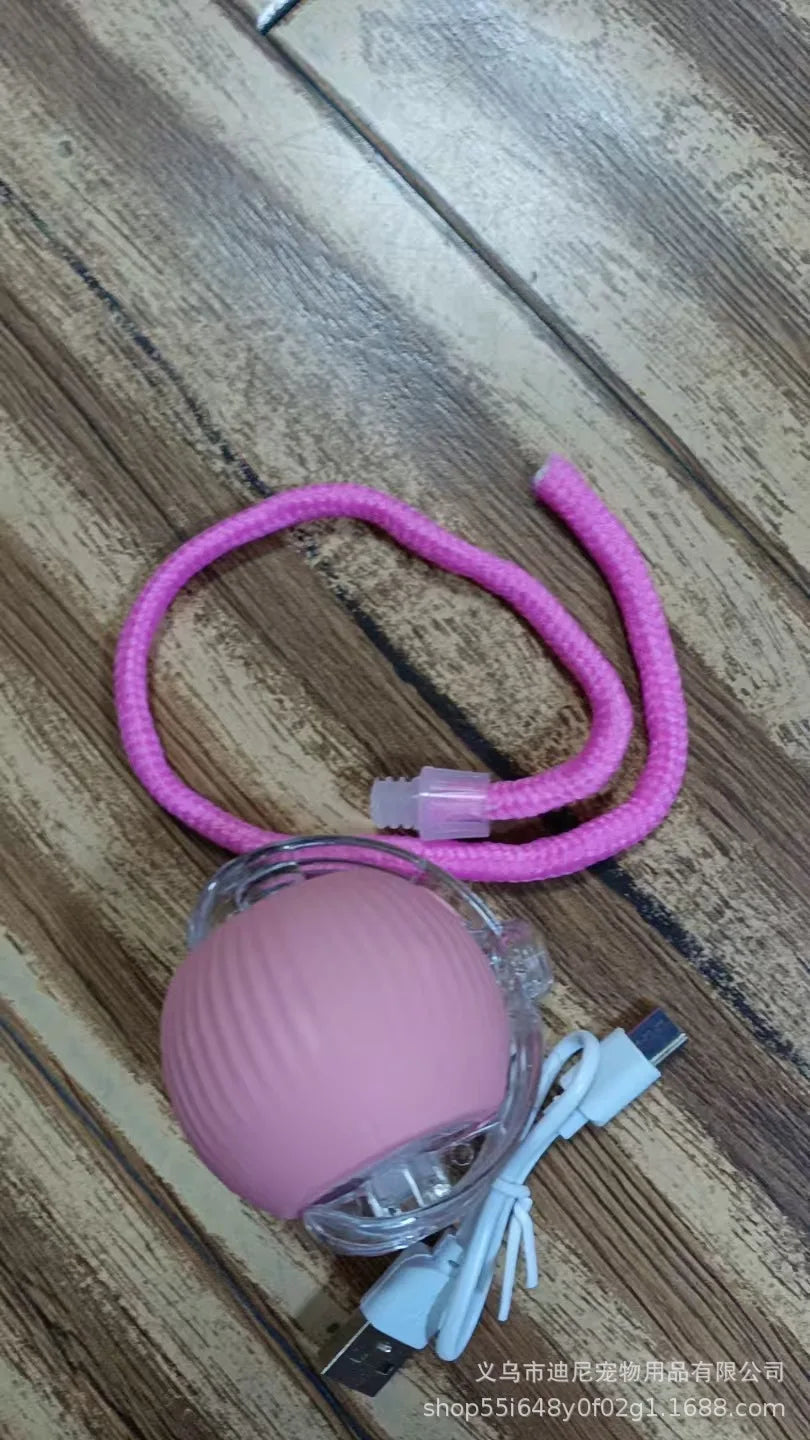 Electric Cat Toy with Bird Sound