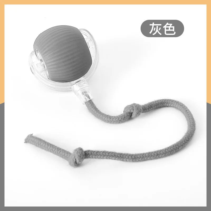 Electric Cat Toy with Bird Sound