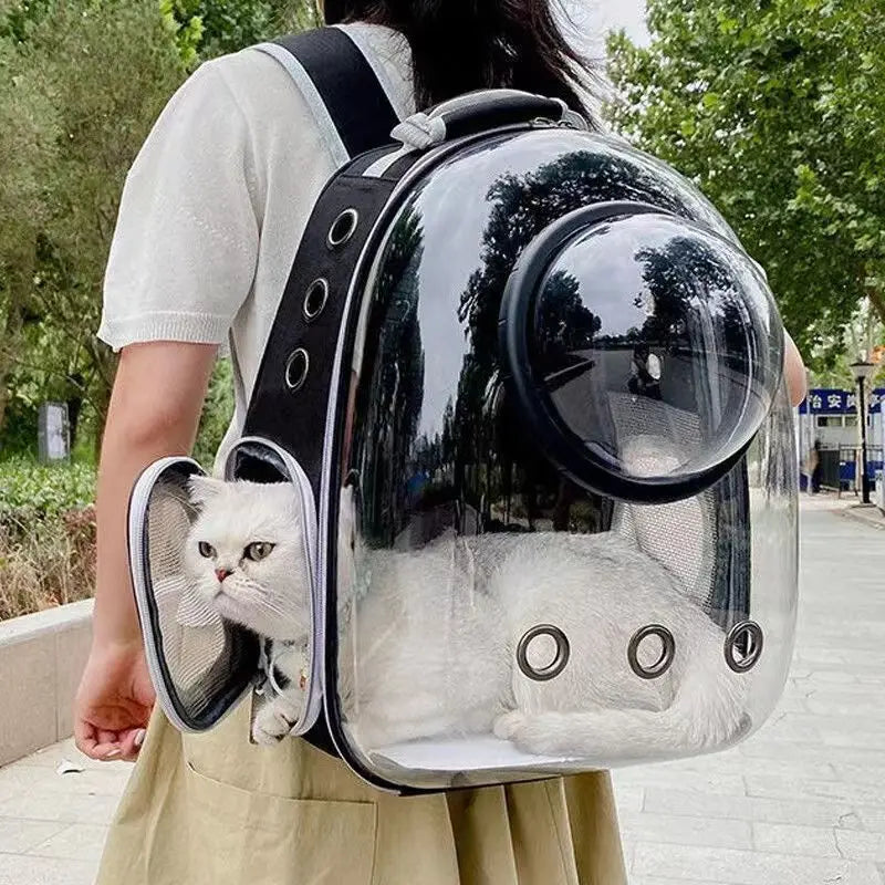 Pet Care