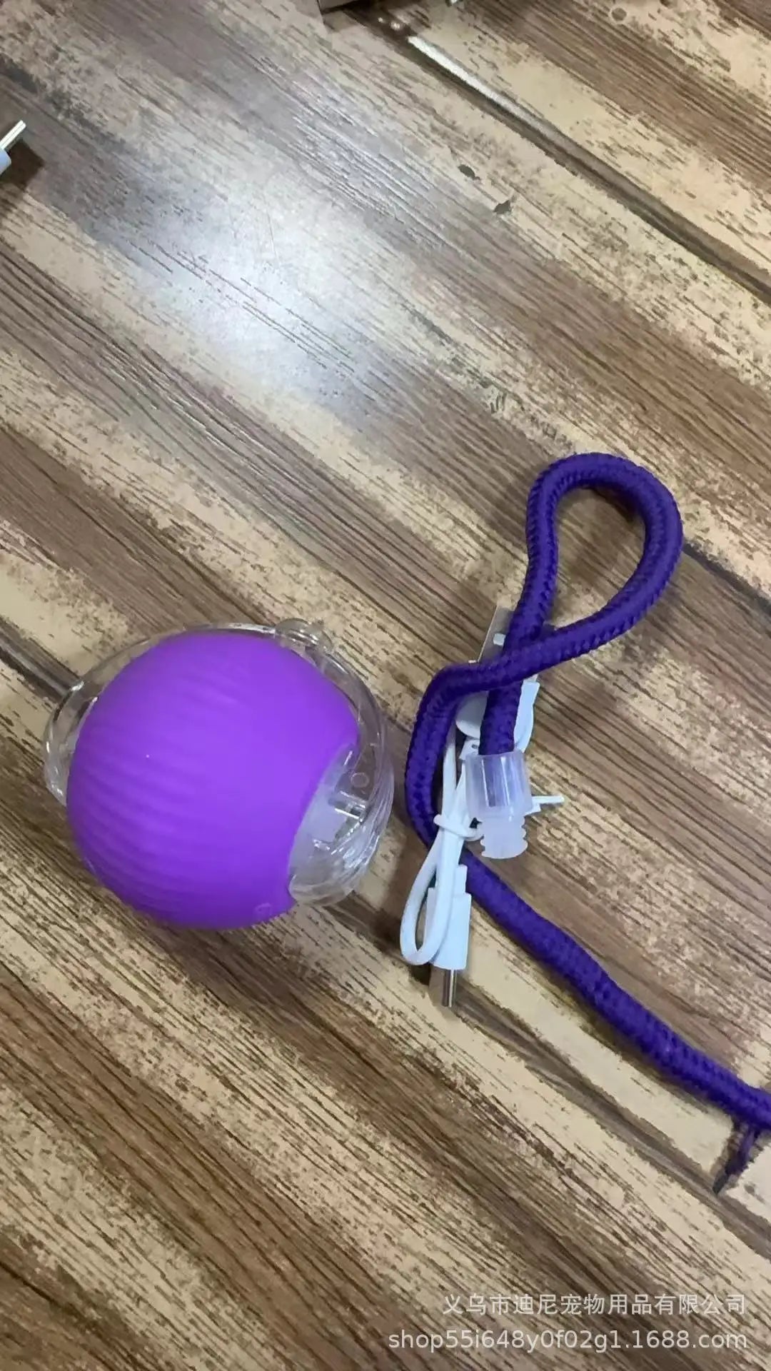 Electric Cat Toy with Bird Sound
