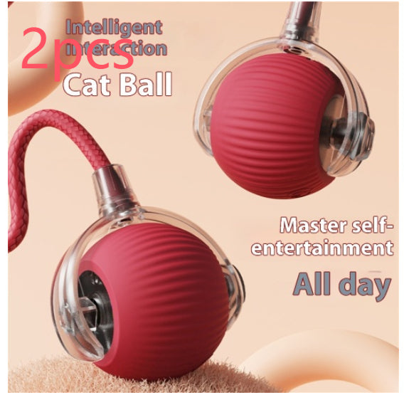 Electric Cat Toy with Bird Sound