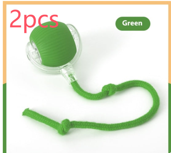Electric Cat Toy with Bird Sound