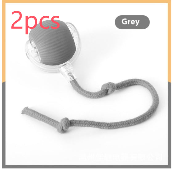 Electric Cat Toy with Bird Sound