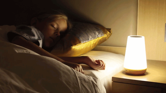 RGB LED Night Light 13 Colors Touch & Remote Control USB Rechargeable Dimmable Bedside Lamp
